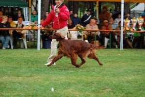 Brigitte Terni