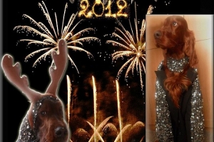 Happy New Year 2012 (1)