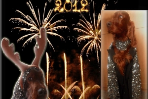 Happy New Year 2012