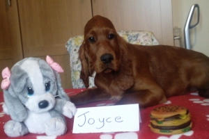Joyce 6 16_05
