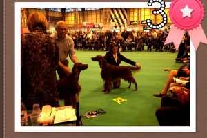 Stevie Crufts 13