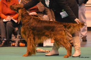 Stevie Crufts 2013