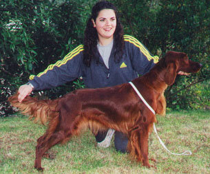 Isabelle2000