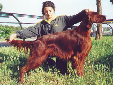 Mitico2000
