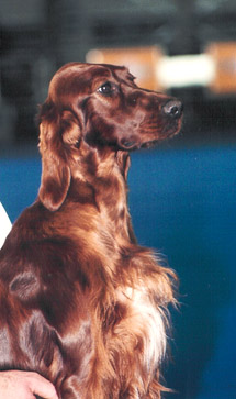 Valery02
