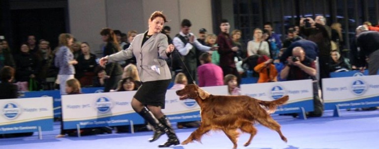 Ljubljana International Show – New results