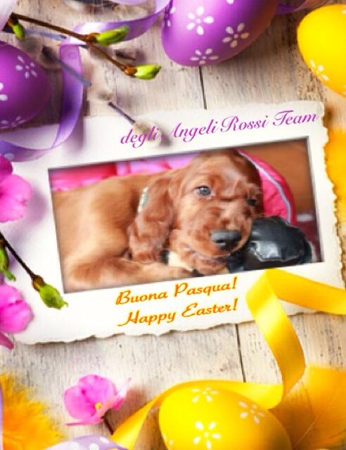 Buona Pasqua!     Happy Easter!