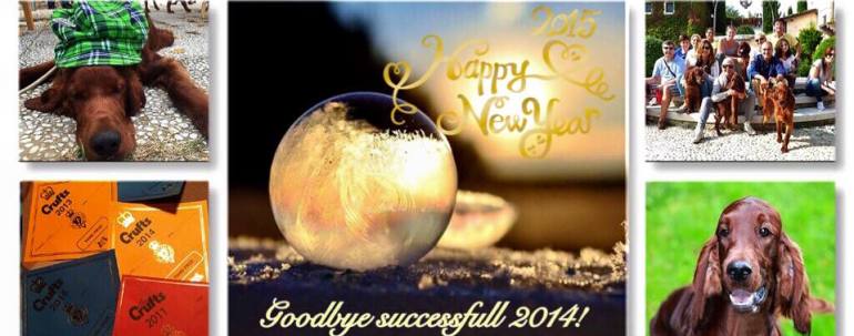 Buon Anno!       Happy New Year!