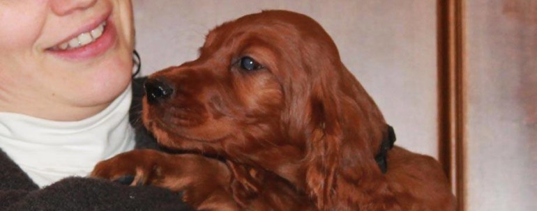 Cuccioli Disponibili
